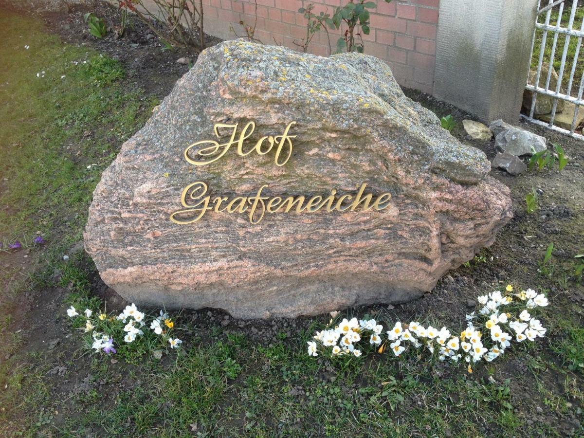 Hotel Hof Grafeneiche à Asel Extérieur photo